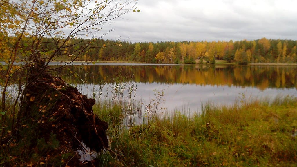 Щучье озеро в Ленинградской области
